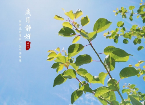 愿歲月靜好，山河無(wú)恙